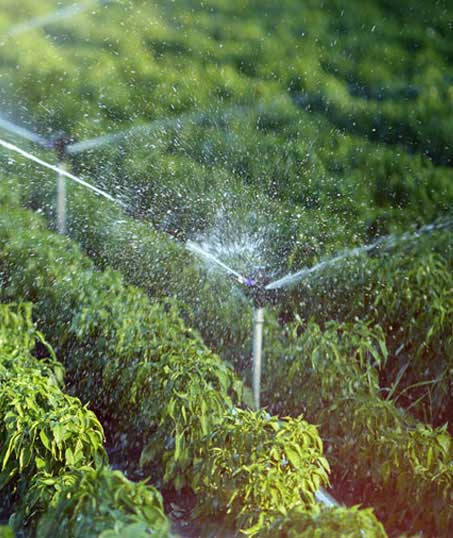 E & E Contractors LLC Irrigation System Repair